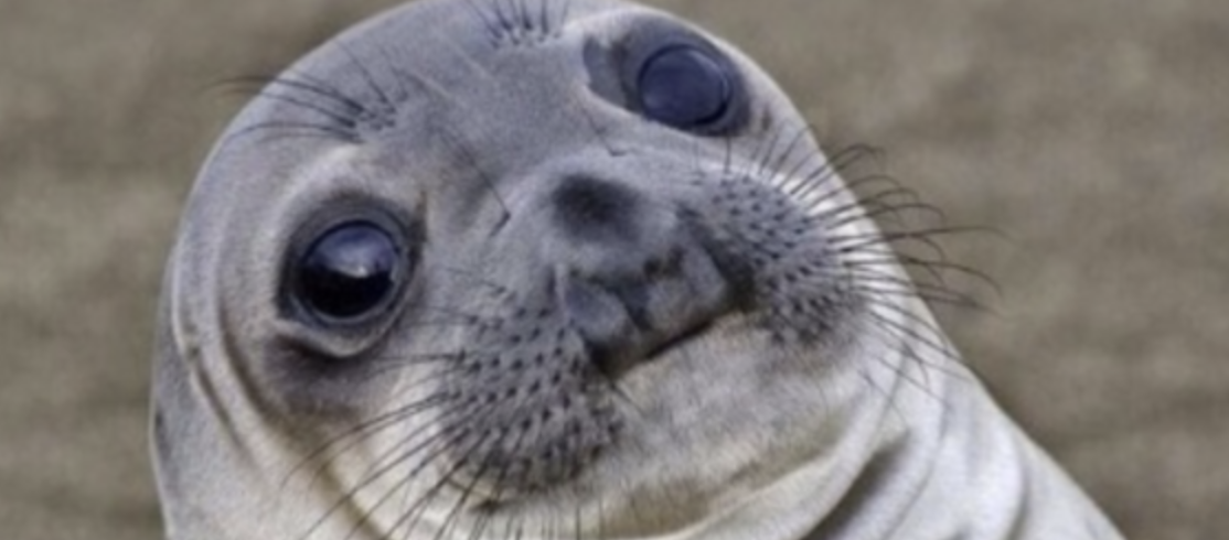 I Have Nothing Again